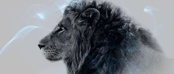 14 Biblical Meaning of Killing a Lion in a Dream