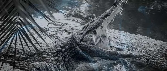 Eating Crocodile Meat in a Dream: 7 Biblical Meanings