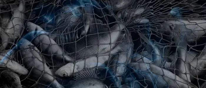 13 Biblical Meaning of Dreaming of a Fishing Net