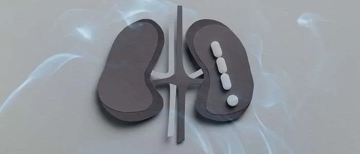 10 Biblical Meaning of Dreaming of a Kidney