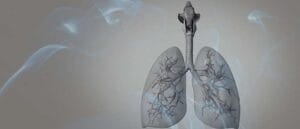 8 Biblical Meaning of Lungs in a Dream