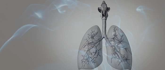 Biblical Meaning of Lungs in a Dream