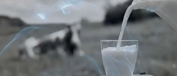 18 Biblical Meaning of Dreaming of Milk