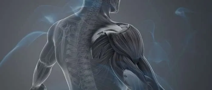 6 Biblical Meaning of Dreaming of Muscles