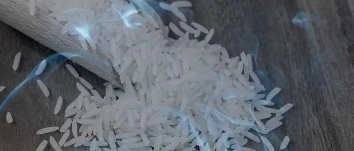 13 Biblical Meaning of Dreaming of Rice