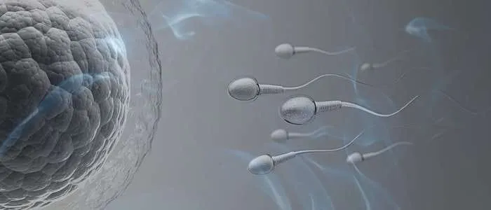 5 Biblical Meaning of Sperm in a Dream