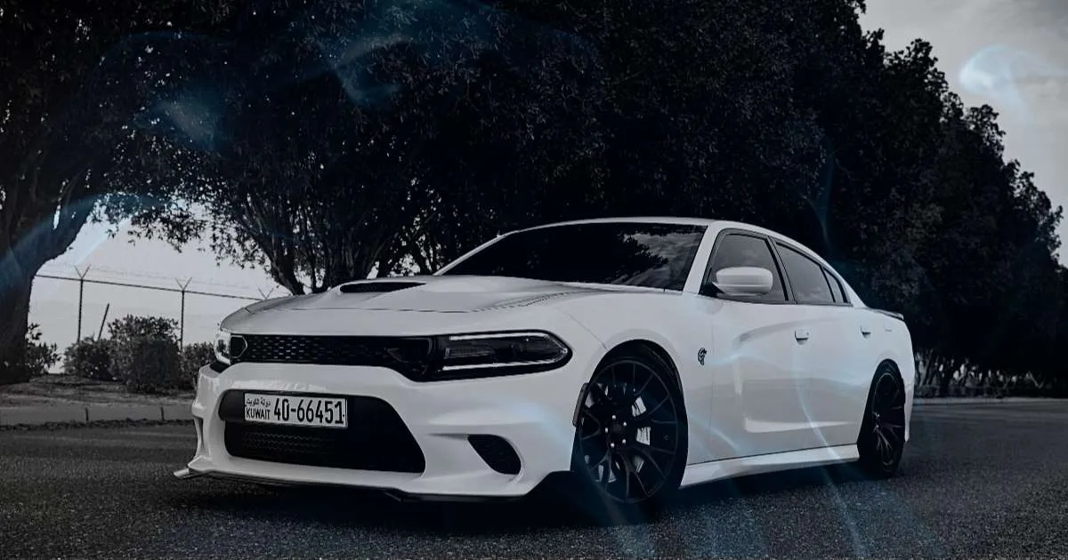 Dreaming of Driving a Tesla Car