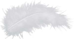 Biblical Significance of Feathers in Dreams