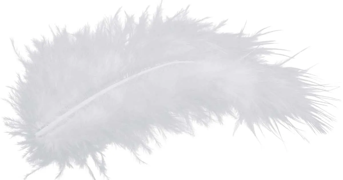 Biblical Significance of Feathers in Dreams