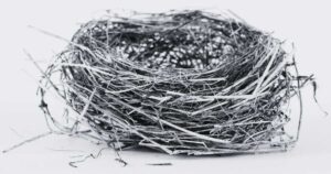 Biblical Meaning of Dreaming About a Nest