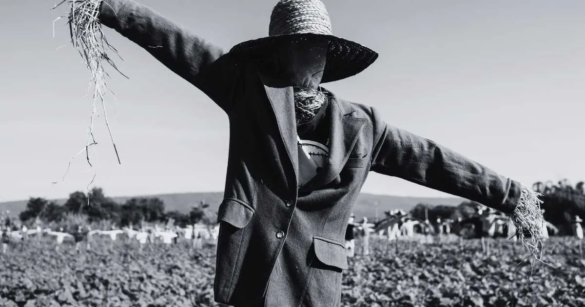 Biblical Meaning of Dreaming About a Scarecrow