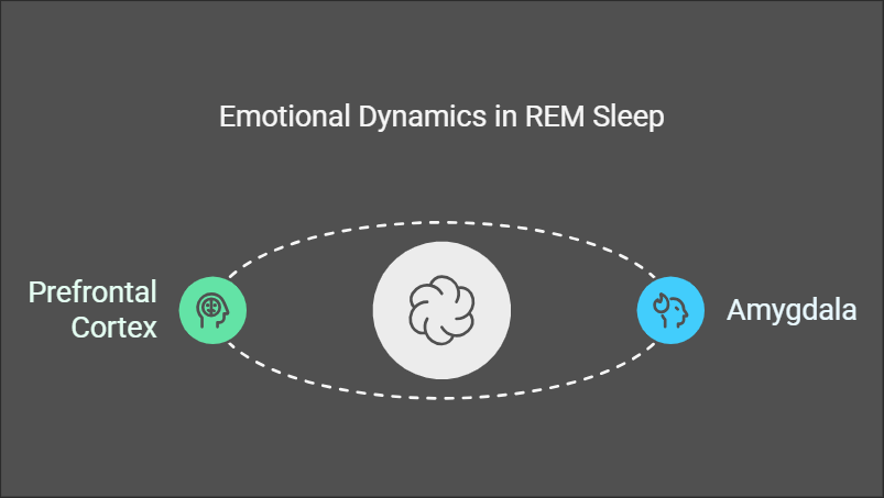 Dreams and Emotional Processing
